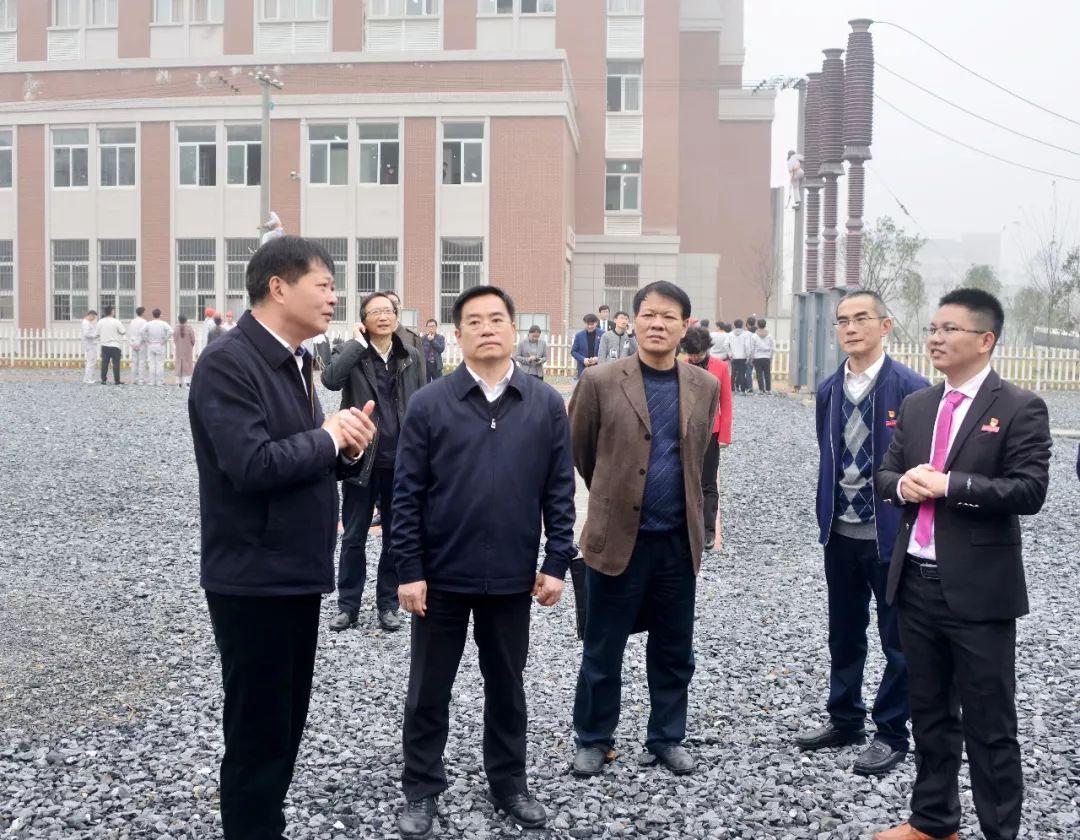 福建印象，绿意盎然，文化璀璨🏮🌿🍃