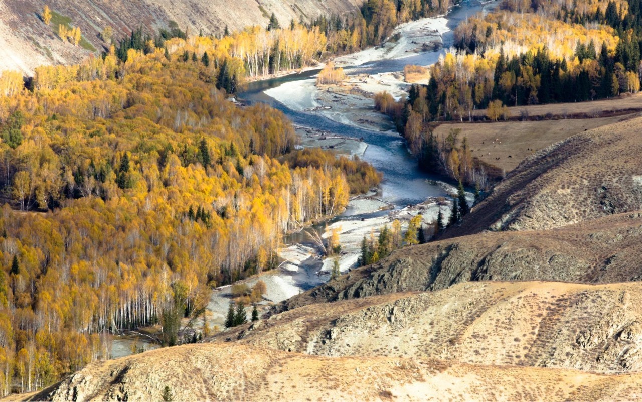 新疆大地的瑰宝,壮丽风光与多元文化交相辉映